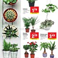 Antevisão Folheto LIDL Promoções de 10 a 16 agosto p27.jpg